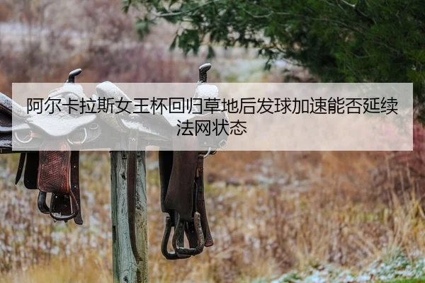 a-er-ka-la-si-nv-wang-bei-hui-gui-cao-di-hou-fa-qiu-jia-su-neng-fou-yan-xu-fa-wang-zhuang-tai-2-315.jpg