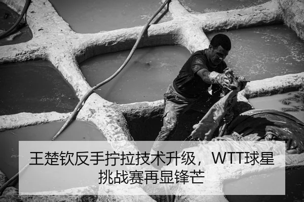 王楚钦反手拧拉技术升级，WTT球星挑战赛再显锋芒