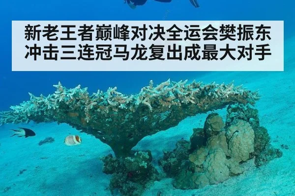 新老王者巅峰对决全运会樊振东冲击三连冠马龙复出成最大对手